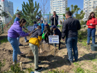 Подрастающие "Динамовцы" высадили 30 деревьев в ЦПКиО Волгограда