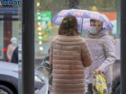 В  Волгограде установят 25 новых остановок-стекляшек за 25 млн рублей 