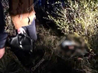 Опубликовано видео показа на месте убийства 16-летней Кристины из Елани