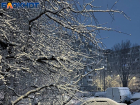 Пять сантиметров снега выпало ночью в Волгограде