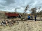 Троим жителям Волгоградской области может грозить 7 лет колонии за 30 спиленных дубов