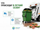 Сезон арбузов: как правильно выбрасывать остатки бахчевых культур 