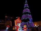 Установка главной елки Волгограда начнется 12 декабря