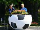 Больше миллиона рублей потратят на футбольные клумбы власти Волгограда