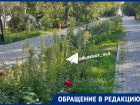 Волгоградцы назвали позором мэра лысые цветники в центре города 