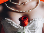 Иммерсивное шоу «Garden Rose»