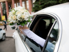 На свадьбе в Волгоградской области мужчина разбил палкой иномарку гостя