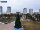 Плюсовая температура и туман: погода в Волгоградской области на 23 декабря