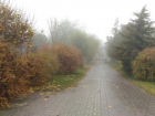 Морось и пасмурная погода не покидают Волгоград в середине декабря