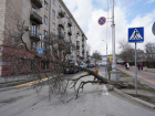 Штормовой ветер и дождь обрушатся на Волгоград