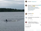 Тонущая олимпийская чемпионка не смогла «полетать» на флайборде
