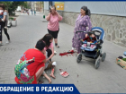 Чипированная собака покусала мать с сыном на глазах прохожих в Волгограде