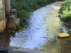 Охлаждающий бассейн для голубей лишил волгоградцев воды