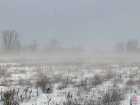 Выбилась из сил и упала в сугроб: под Волгоградом замерзающую спасли из гранд-пурги