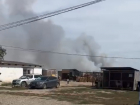 Пожар вспыхнул в пойме под Волгоградом около приюта для животных — видео 