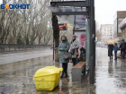 В Волгограде прояснилась причина коллапса на дачных автобусах