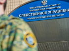 Глава СК потребовал доклад по делу о банкротстве СНТ и нарушениях прав дачников под Волгоградом