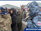 «Они подчиняются только президенту»: предновогодний рейд по мигрантам навел шума на рынке в Волгограде