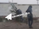 Массовую вырубку сосен заметили в Волгограде 