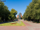 Больше сотни деревьев вырубят в главном сквере Волгограда у Вечного огня