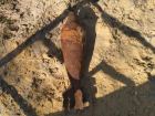 Рыли могилу и нашли военный снаряд: похороны волгоградца отложили на неопределенный срок