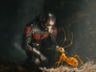 На премьере «Человека-муравья» зрители шутили, что размер не имеет значения