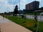 В Волгограде ищут похитителей 20 ротаторов с городских систем полива парков и скверов