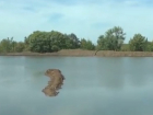 В Волгоградской области расчистили и оживили первый участок реки Арчеда