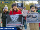 «Проблема - в безответственности людей»: волгоградцы присоединились ко всероссийскому митингу в защиту животных