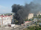 Появилась петиция с просьбой убрать с дорог «Питеравто» после загоревшегося автобуса №55 в Волгограде