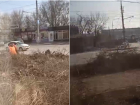 "Ежу понятно, что здесь деньгами воняет": массовая вырубка деревьев происходит в Волгограде 