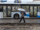 "У нас теперь проезд 62 рубля?": двойная нажива на билетах процветает в Волгограде 