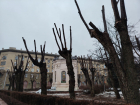 Уродство с улицы вязов: волгоградцы пришли в шок от реконструкции в центре