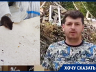 «Кидаются на людей»: мусорные баки в Волгограде атаковали крысы