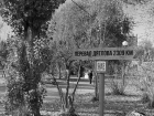 От адекватного до конспирологии: в Волгограде решили вспомнить 7 теорий трагедии на перевале Дятлова