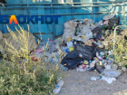 Крысы завелись в заваленной помоями самой жуткой остановке Волгограда