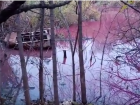 Волгоградцы обнаружили розовое зловонное озеро в центре города