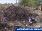 «Ждут, когда подожгут»: гора веток появилась у водоема в Волгограде