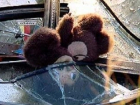 В Волгограде Mitsubishi протаранила  «Приору»: 5-летняя и 8-летняя девочки в больнице