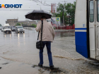 Дождь, сырость и +10 градусов: погода в Волгограде 25 сентября