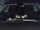 Обнаружившую розу на лобовом стекле волгоградку предупредили о маньяке-цветочнике