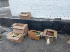 Напичканная коробками с икрой "девятка" задержана в Волгоградской области