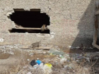 Волгоградцы показали на видео, сколько грязи и мусора выгребли из-под стен заброшенного «Юбилейного» 