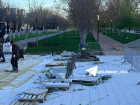 "Выкорчевали и распилили": клон Сталинградского тополя пропал у Мамаева кургана 