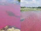 Ярко-розовая река появилась под Волгоградом 