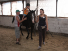 Волгоградских детей-инвалидов лечат с помощью верховой езды