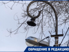 «Неизвестные отрезали провода»: СНТ замерзает в 20-радусный мороз под Волгоградом 