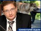 Волгоградский политолог предсказал последствия узаконенной эвтаназии собак