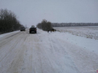 Снежные заносы на дорогах стали причиной серьезных ДТП в Волгоградской области
