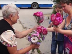  1 сентября в Волгограде: бабушки-садоводы и цветочные магазины готовы к ошеломляющим продажам